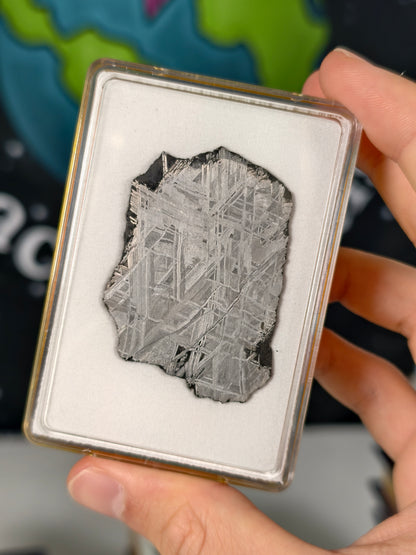 Muonionalusta Meteorit Scheibe 18,17g mit Zertifikat
