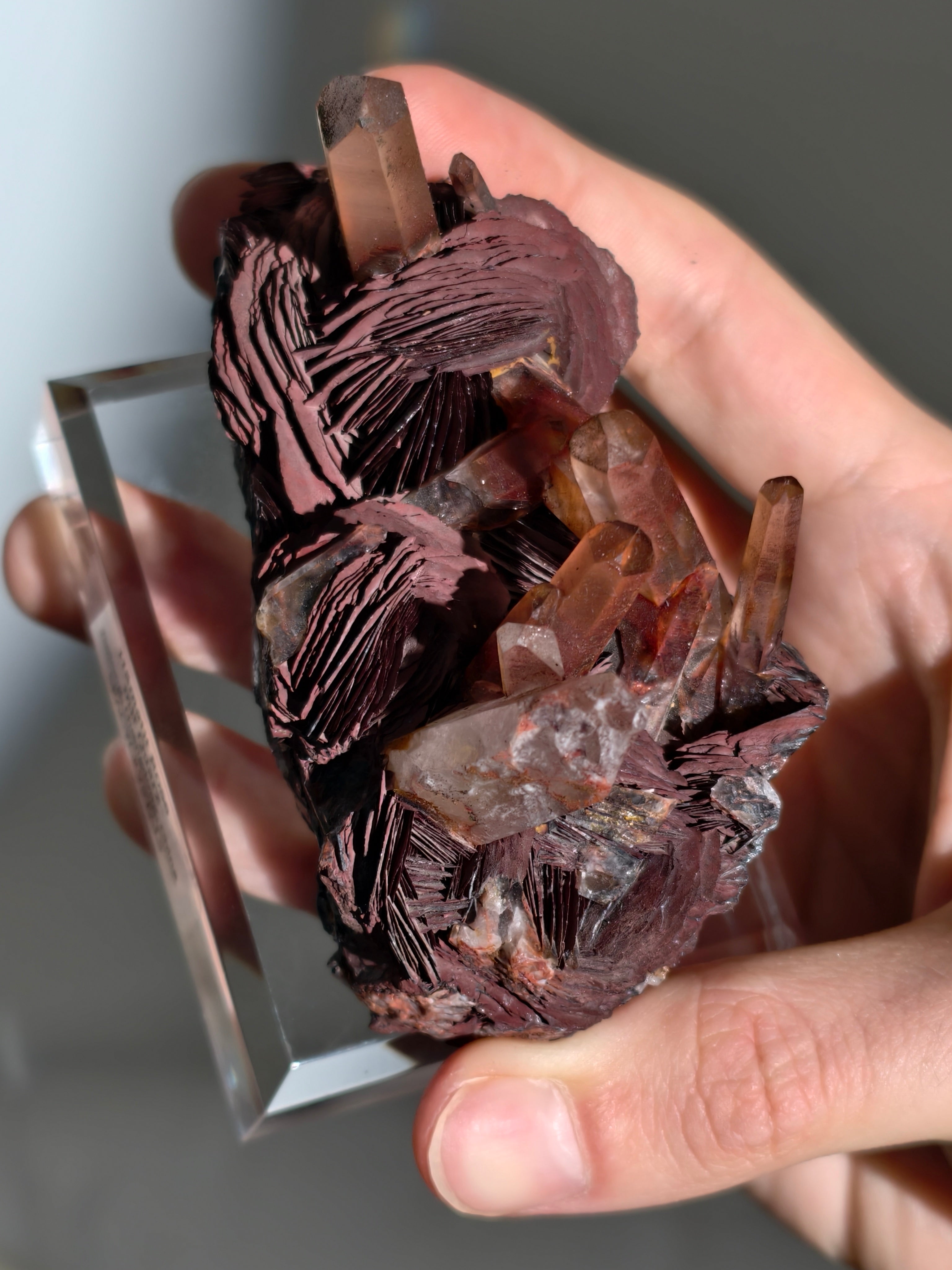 Rote Hämatit Rose mit Hämatitquarz aus Jinlong