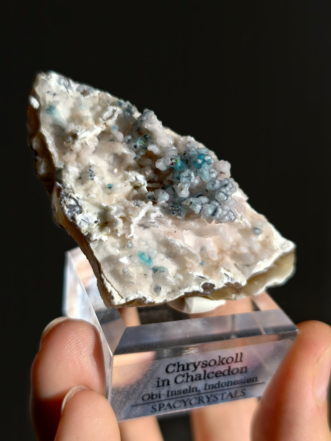 Neufund! Chrysokoll in Chalcedon aus Indonesien