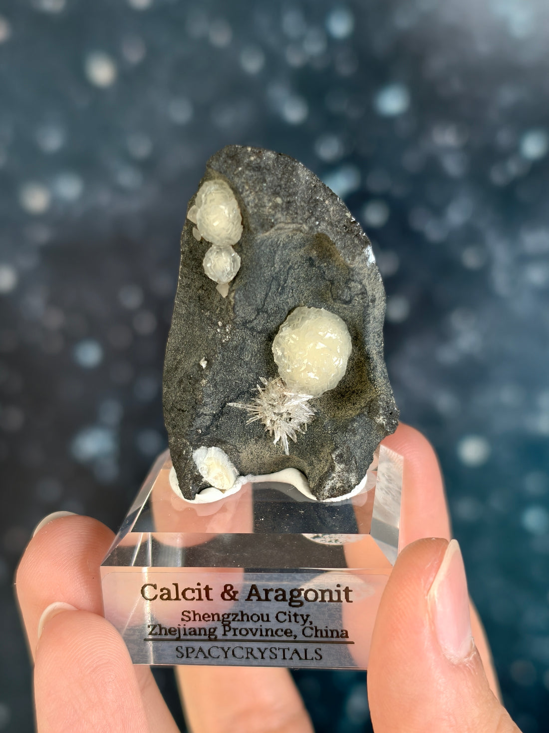 Botryoidaler Calcit mit Aragonit Nadeln auf Basalt - Neuer Fund