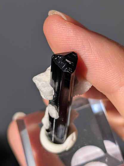 Schwarzer Turmalin (Schörl) mit Albit auf Podest