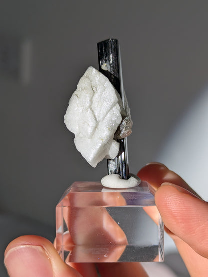 Schwarzer Turmalin (Schörl) mit Albit &amp; Glimmer auf Podest