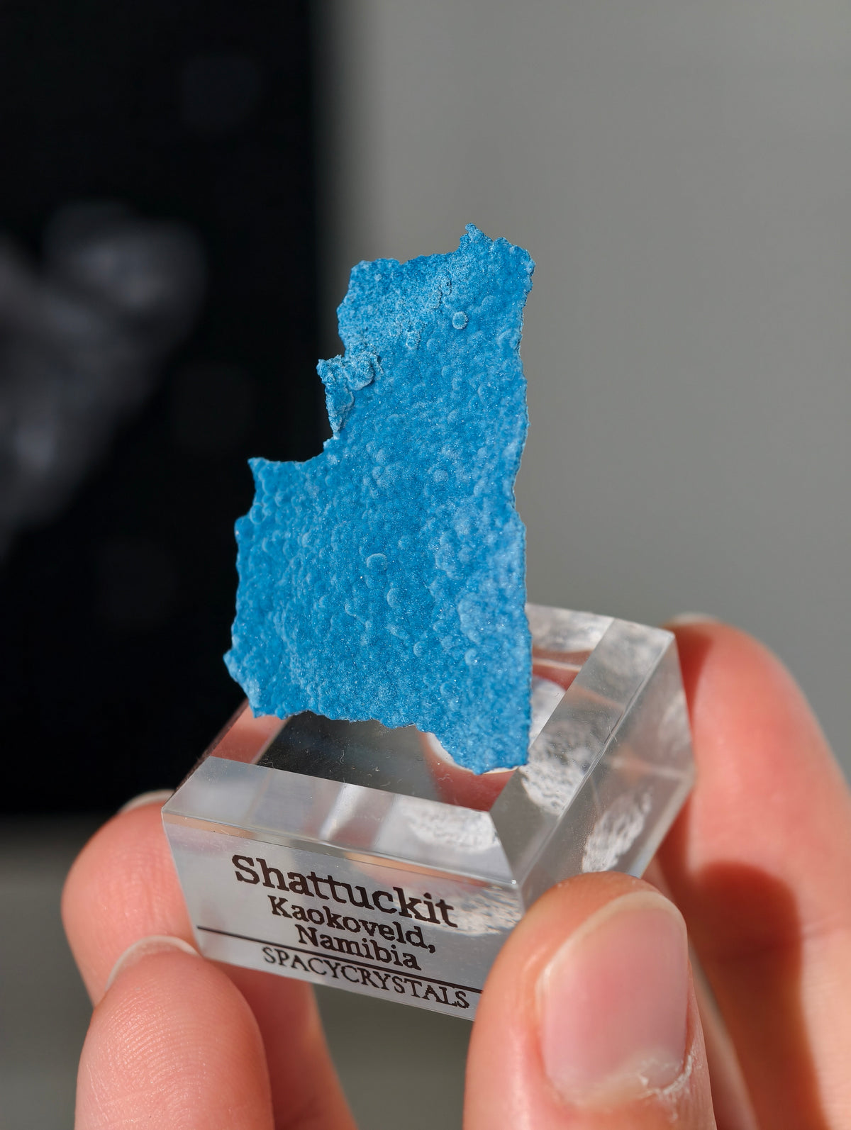 Botryoidaler blauer Samt Shattuckit auf Podest