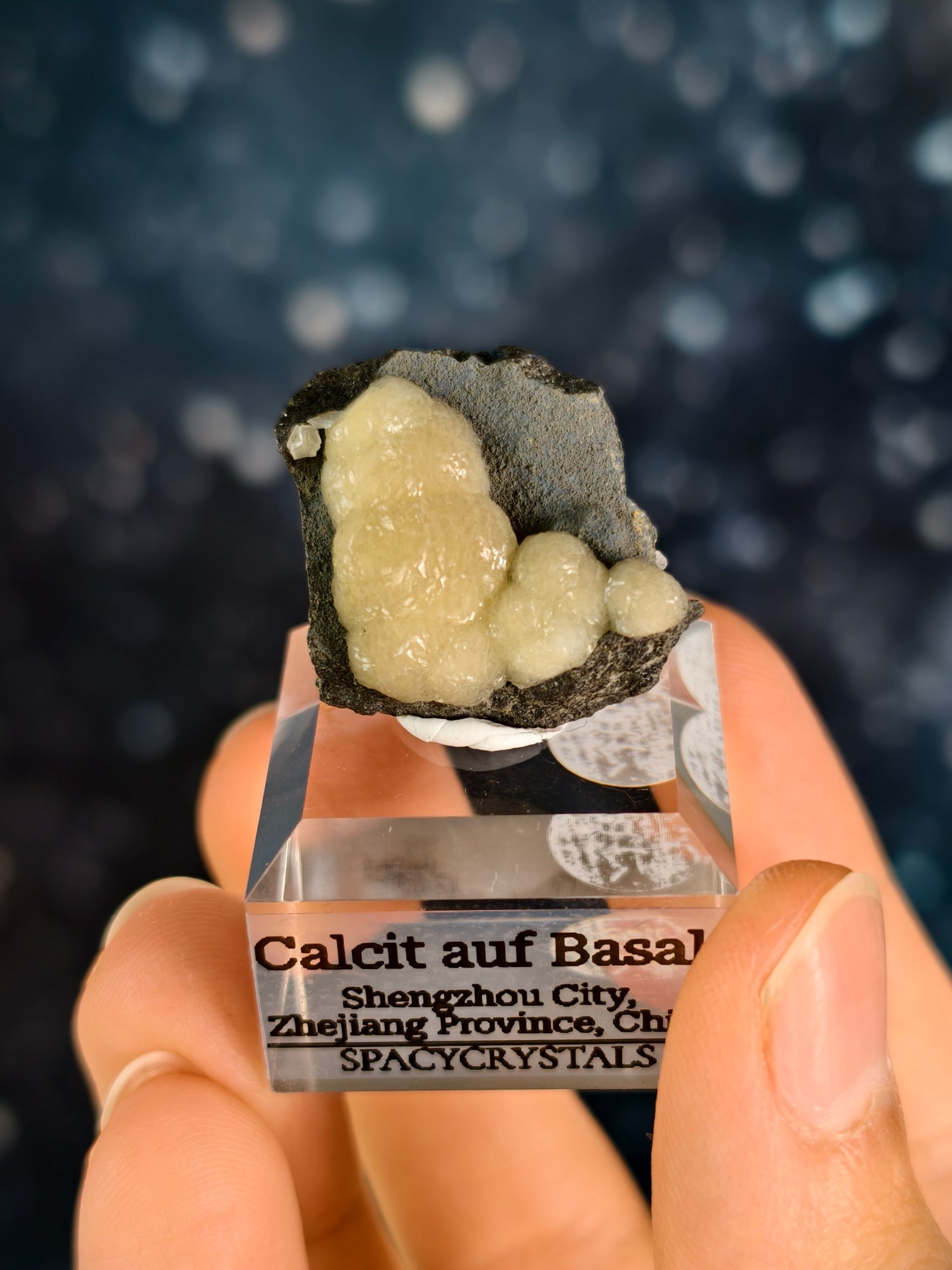 Botryoidaler Calcit auf Basalt - Neuer Fund (klein)