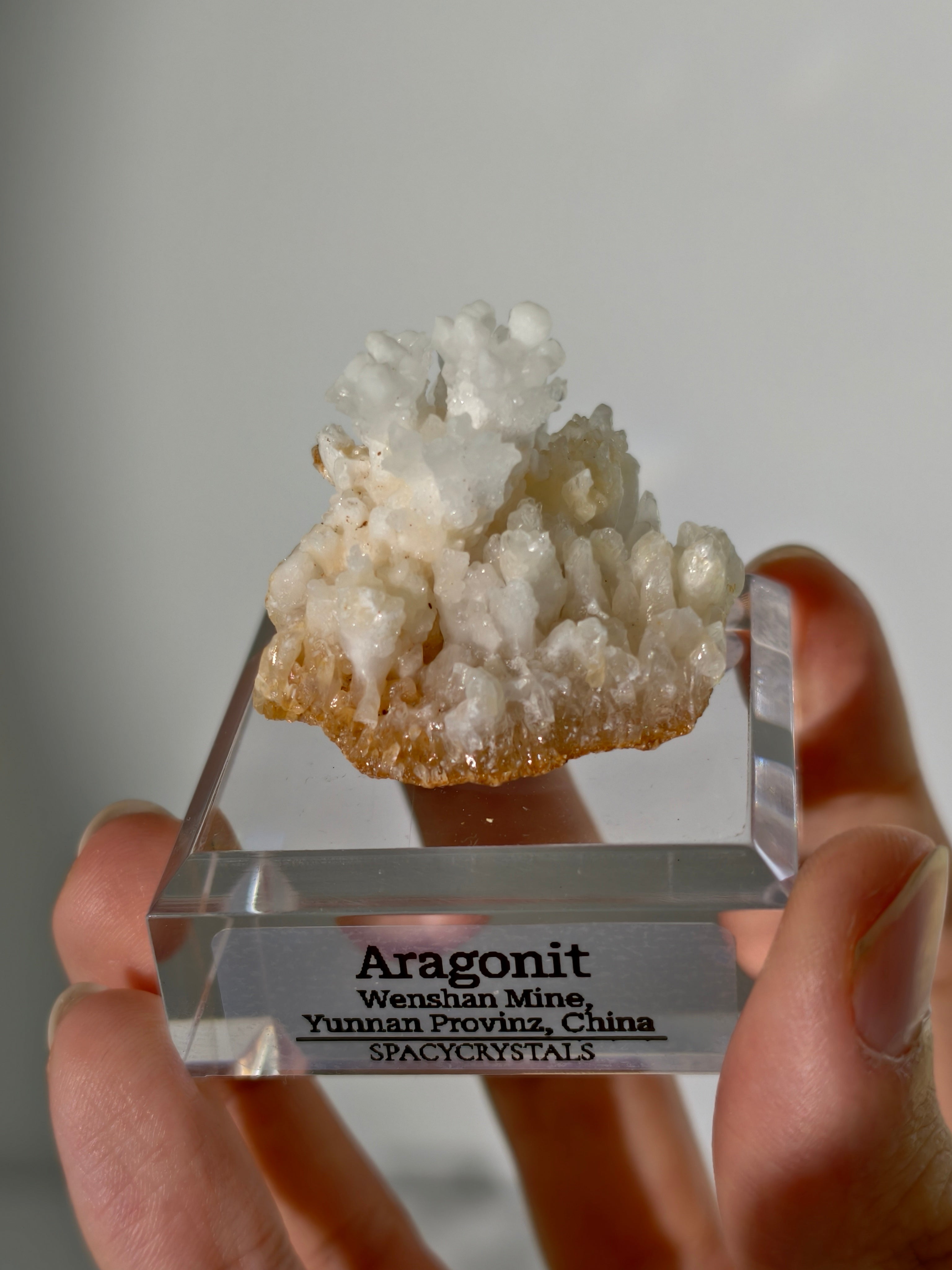 Koralliger Aragonit - Wenshan Mine