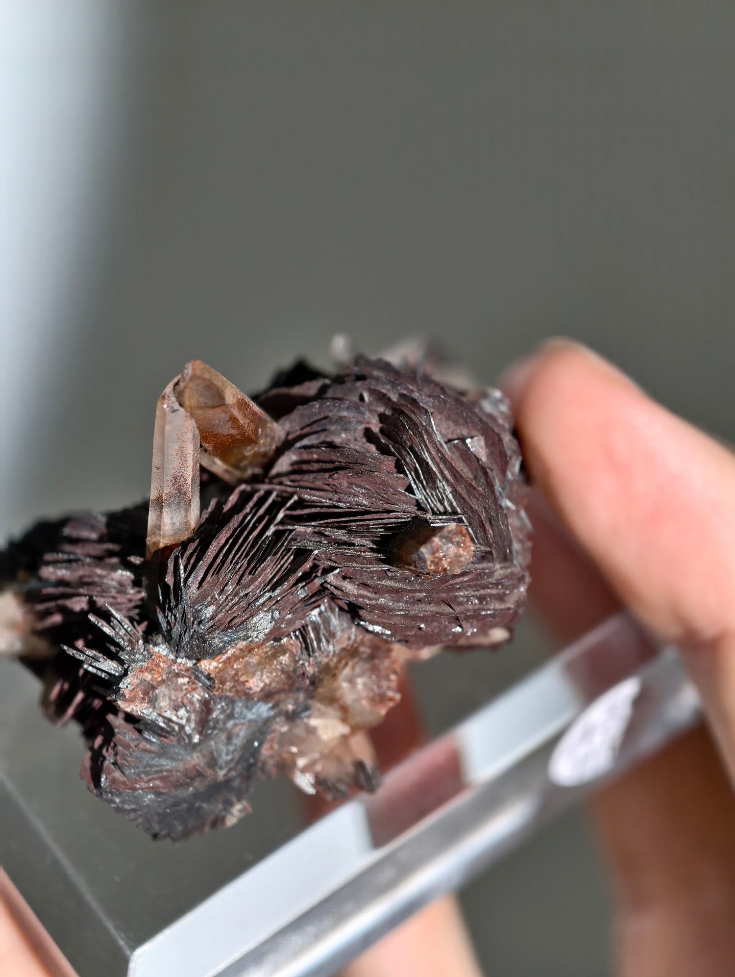 Rote Hämatit Rose mit Hämatitquarz aus Jinlong