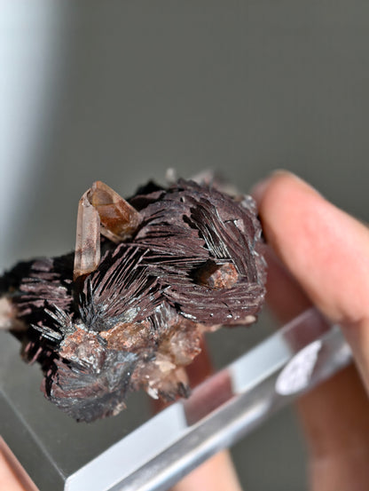 Rote Hämatit Rose mit Hämatitquarz aus Jinlong