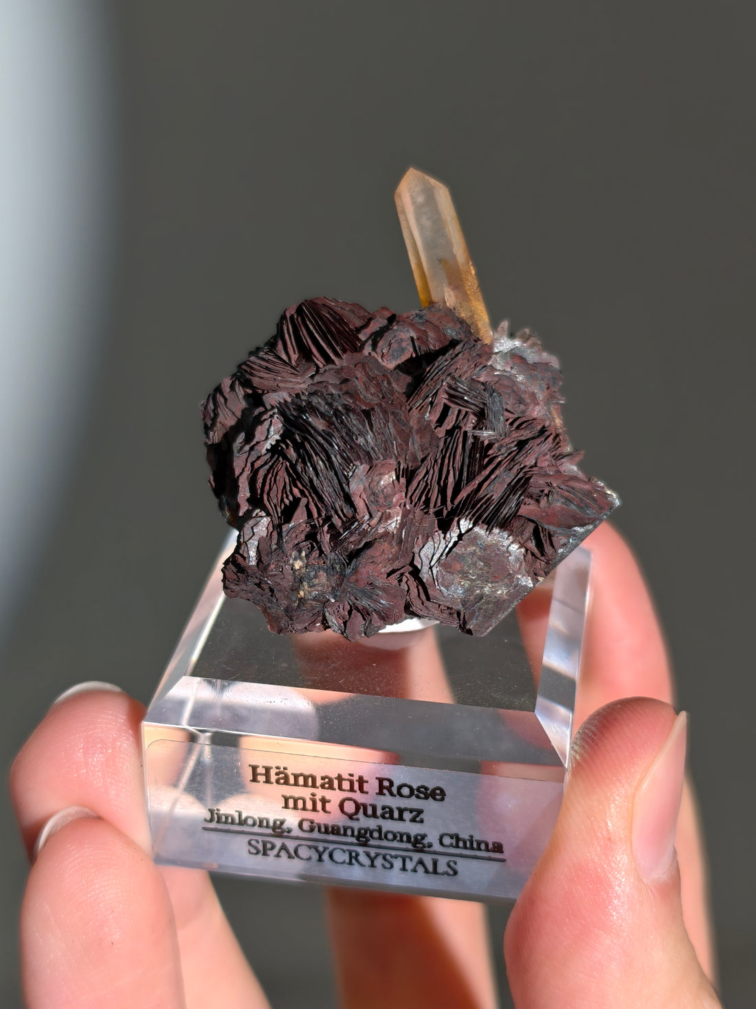 Rote Hämatit Rose mit Hämatitquarz aus Jinlong