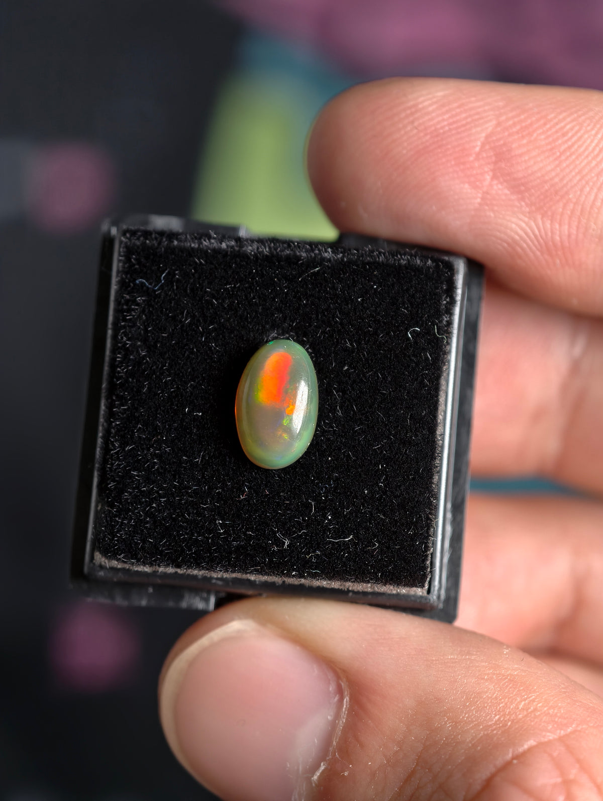 Welo Opal Cabochon in Dose (klein)