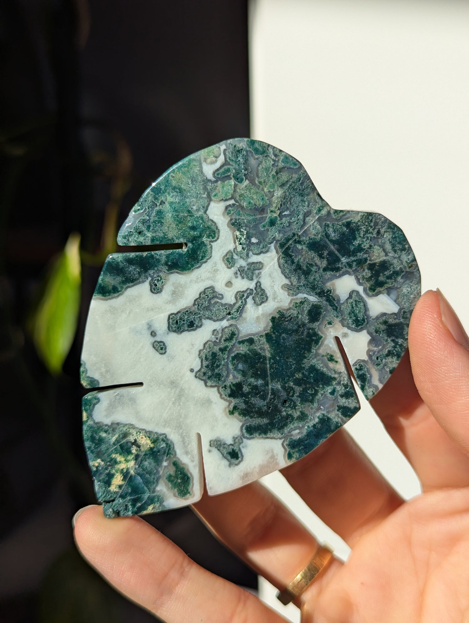 Moosachat Monstera Blatt (wähle dein eigenes)