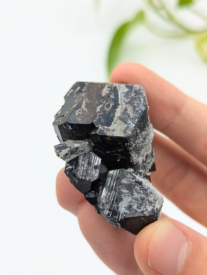 Schwarzer Turmalin (Schörl) aus Erongo IV