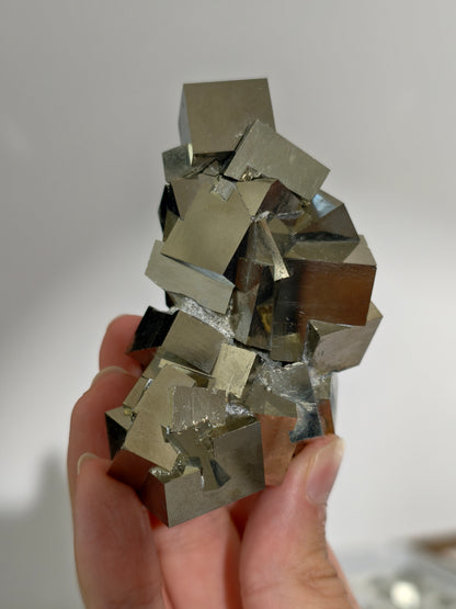 Pyrit Würfel Cluster aus Navajún, Spanien