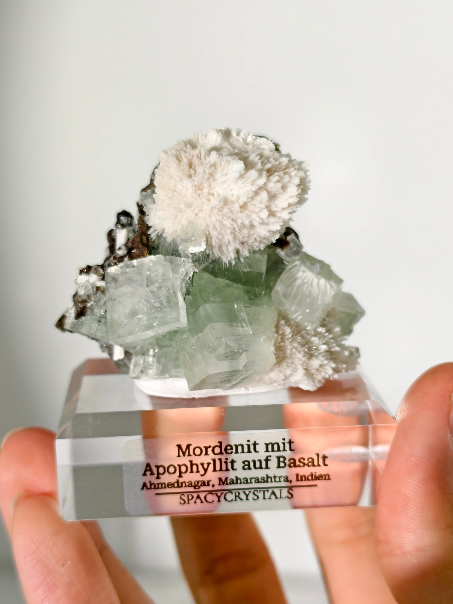 Mordenit mit Apophyllit auf Basalt aus Indien