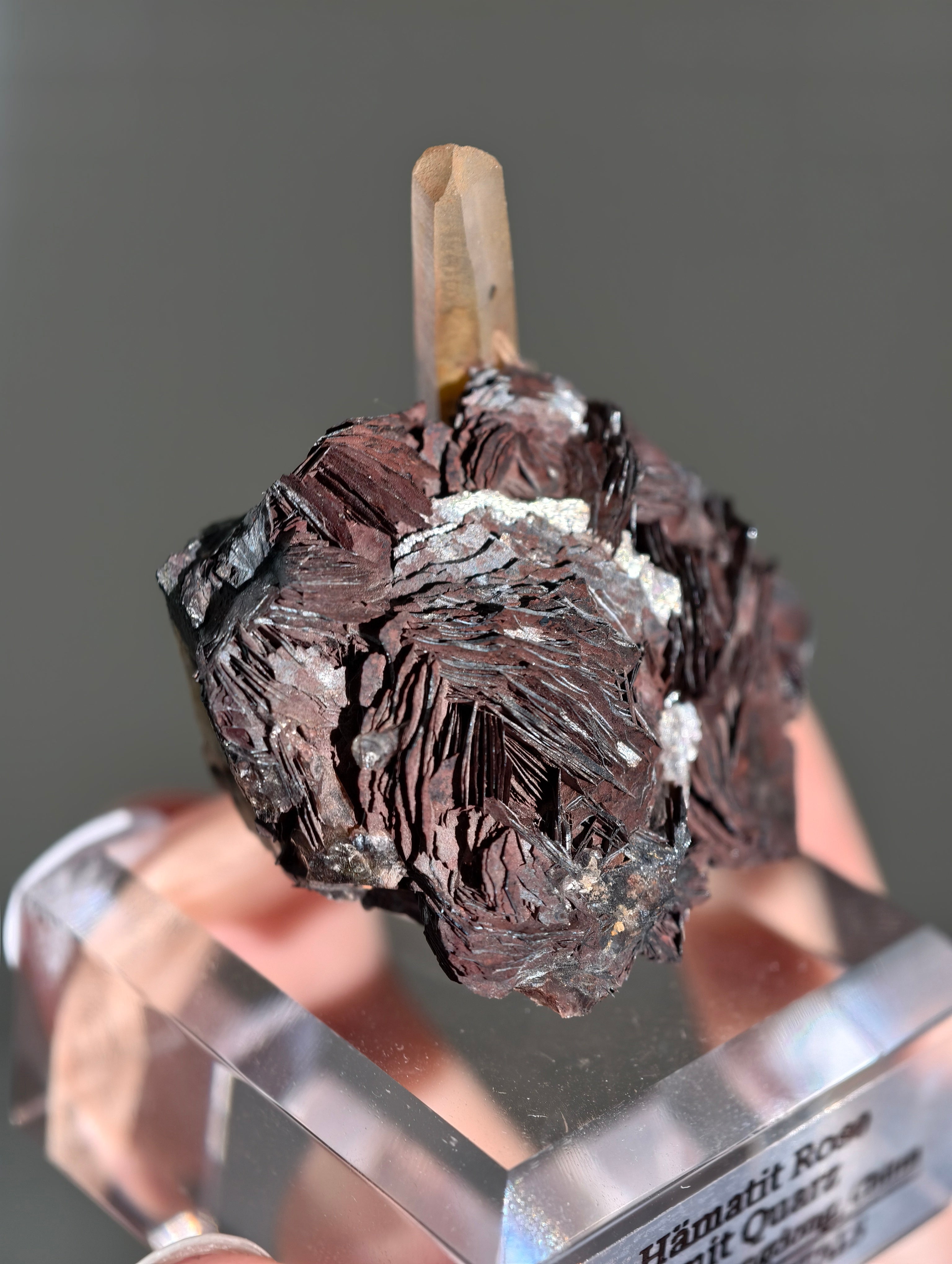 Rote Hämatit Rose mit Hämatitquarz aus Jinlong