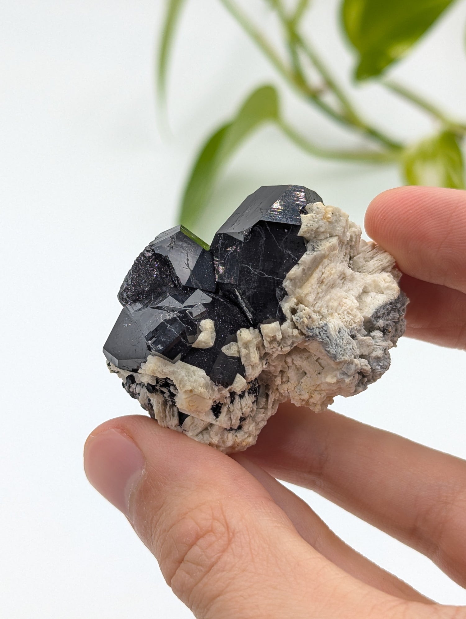 Schwarzer Turmalin (Schörl) aus Erongo