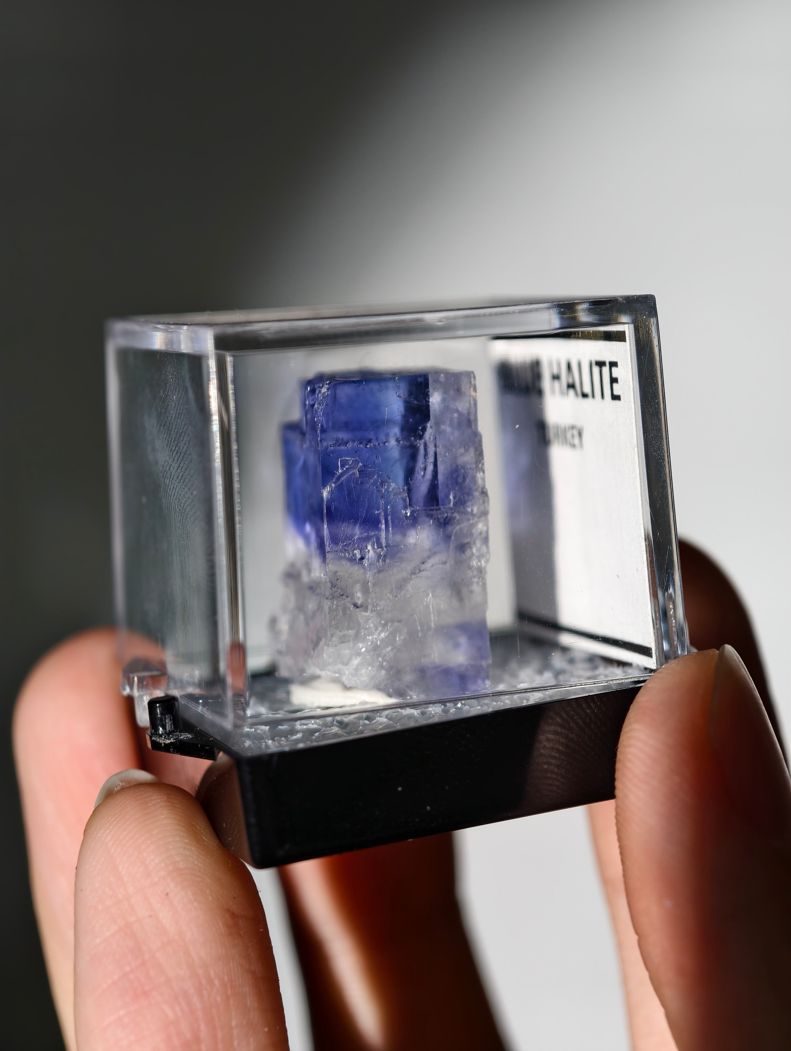 Blauer Halit aus Türkei in Box