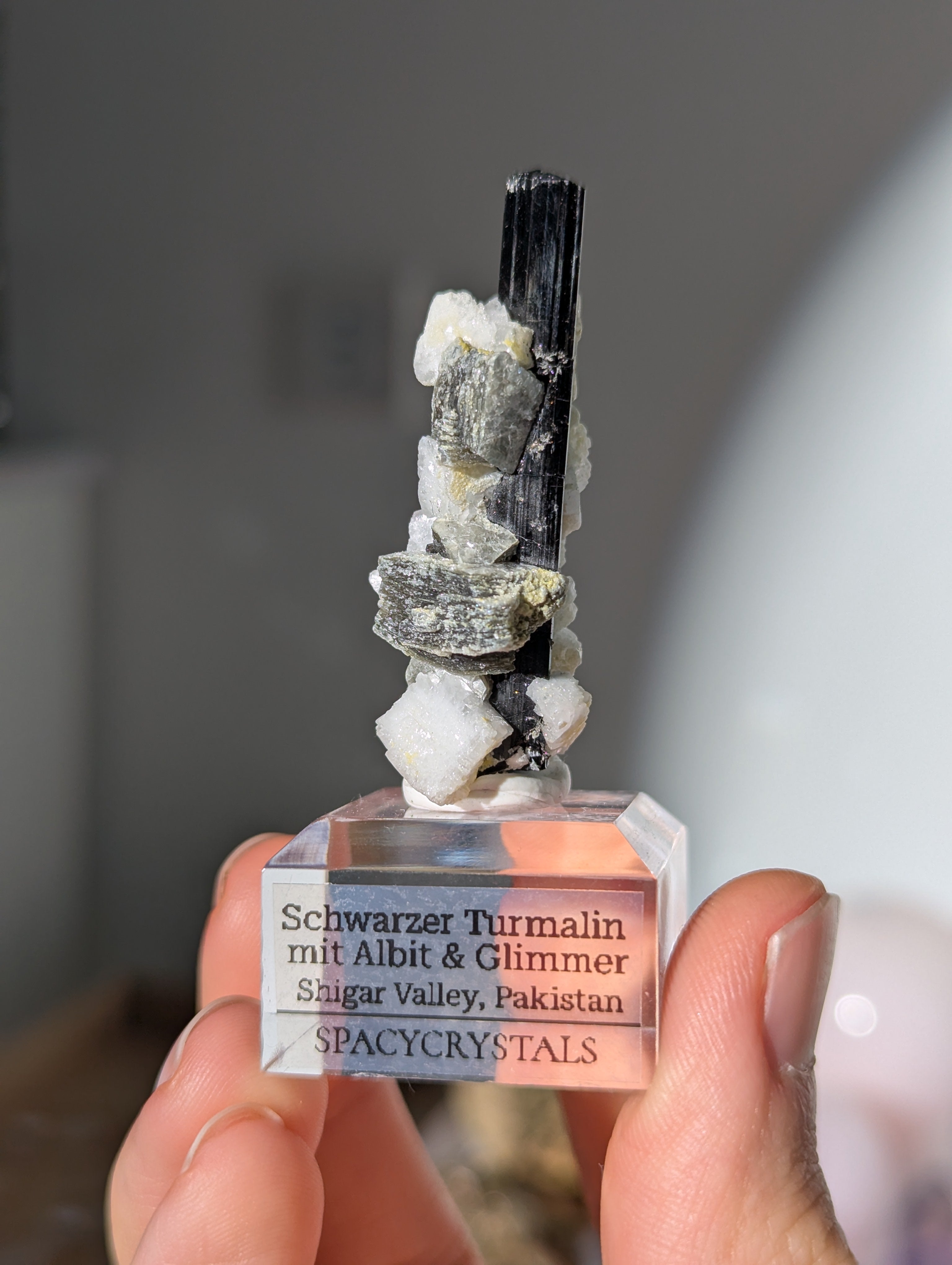 Schwarzer Turmalin (Schörl) mit Albit &amp; Glimmer auf Podest