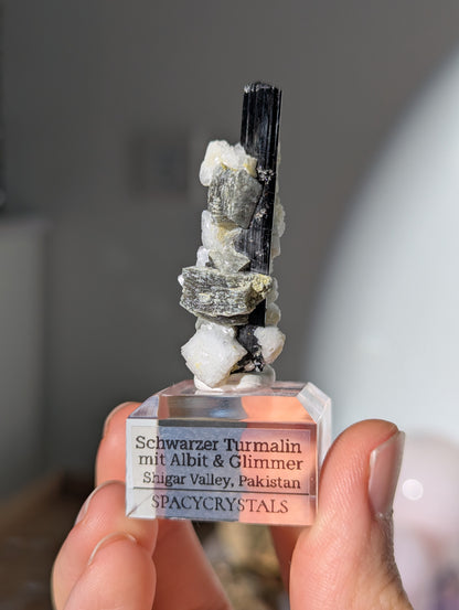 Schwarzer Turmalin (Schörl) mit Albit &amp; Glimmer auf Podest