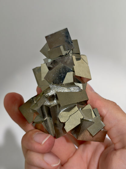 Pyrit Würfel Cluster aus Navajún, Spanien