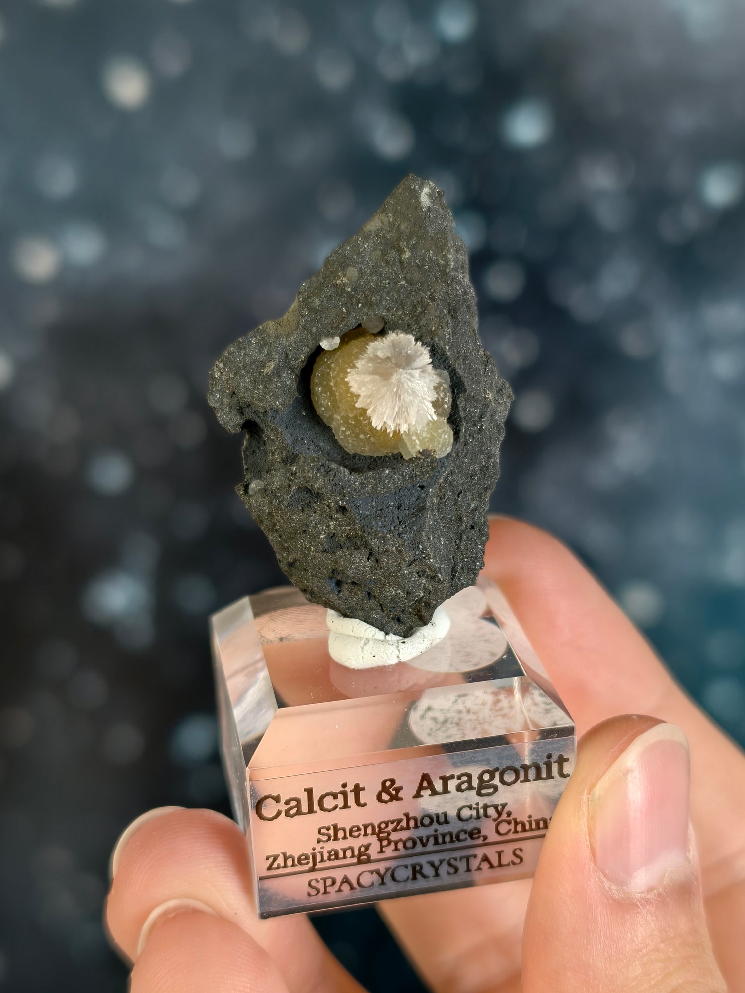 Botryoidaler Calcit mit Aragonit Nadeln auf Basalt - Neuer Fund