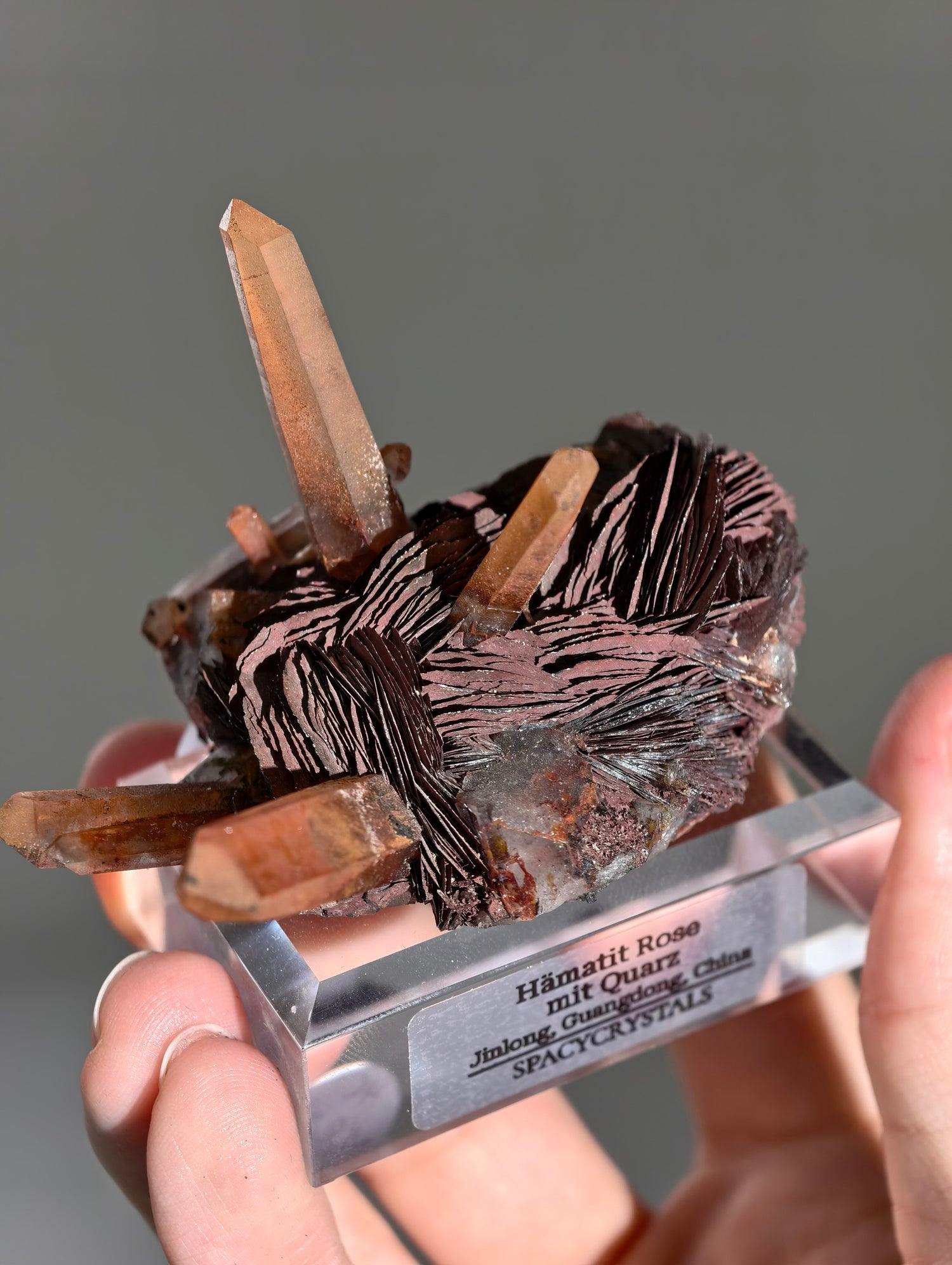 Rote Hämatit Rose mit Hämatitquarz aus Jinlong