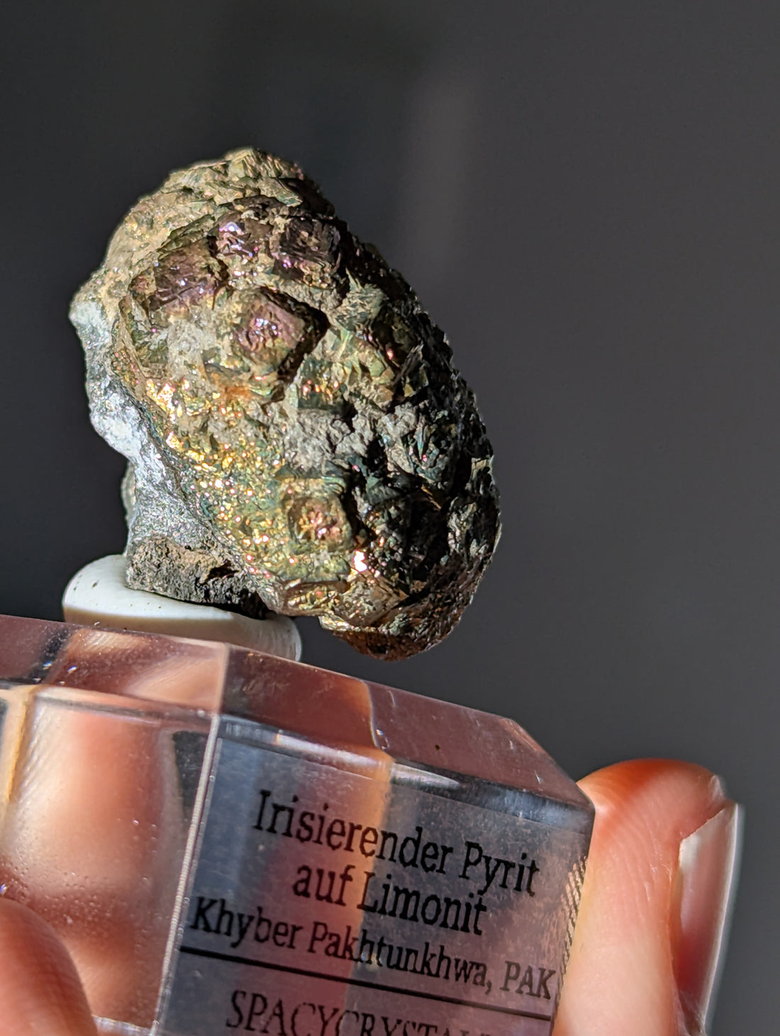 Irisierender Pyrit auf Limonit