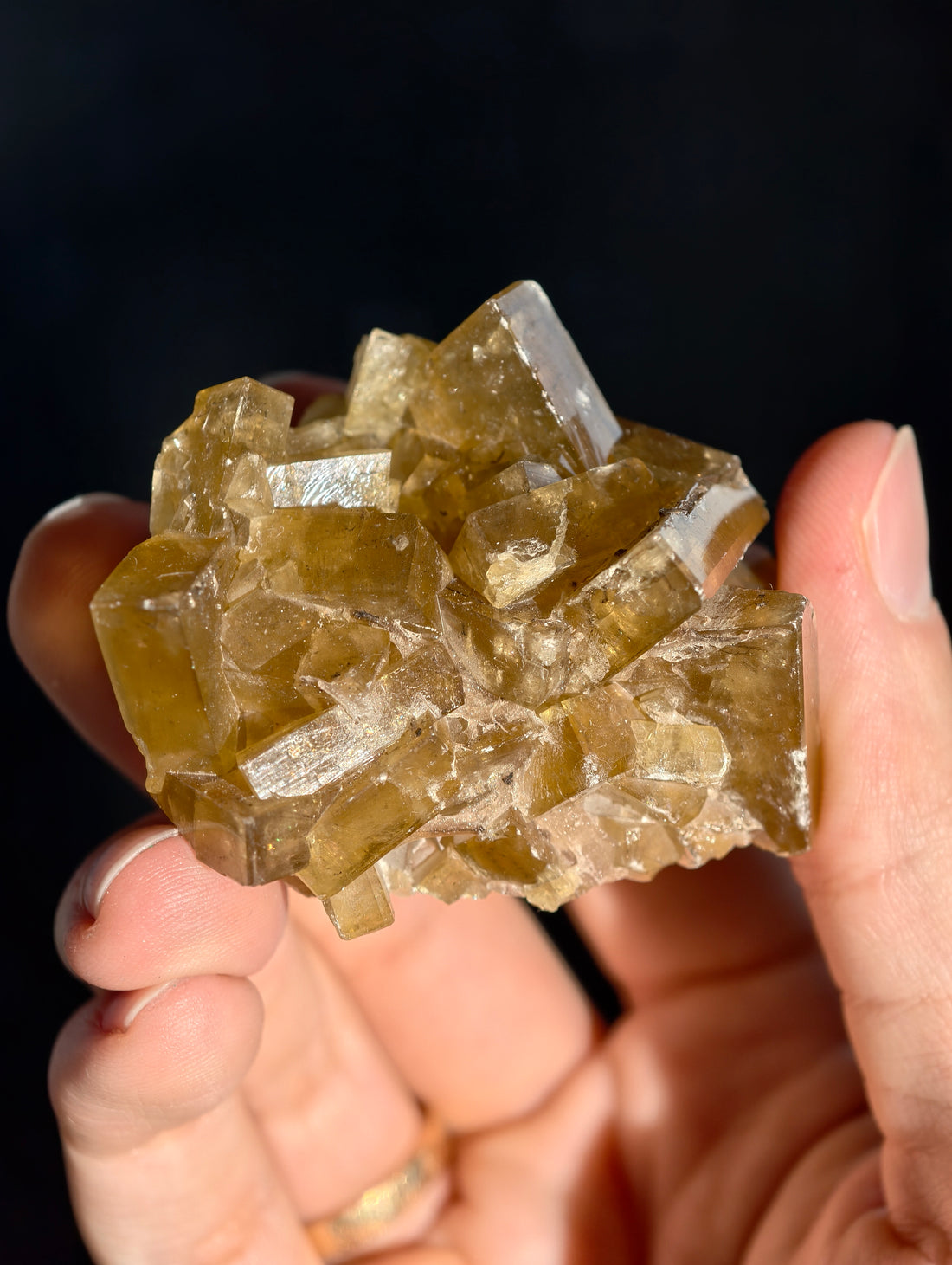 Goldgelber Barit 🍯 aus Jiangxi