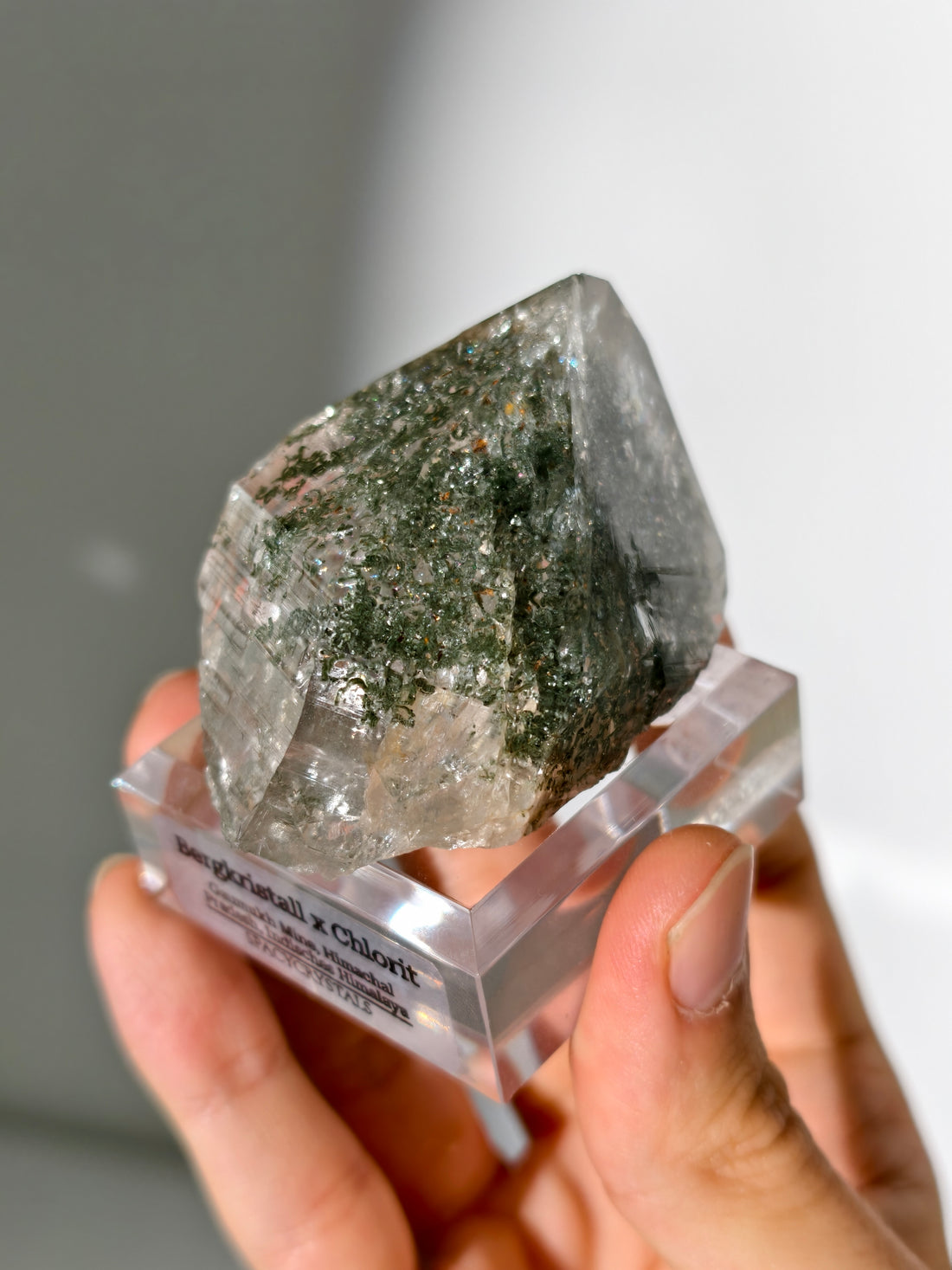 Himalaya Bergkristall Spitze mit Chlorit Einschlüssen