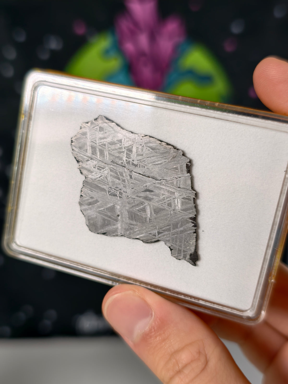 Muonionalusta Meteorit Scheibe 12,94g mit Zertifikat