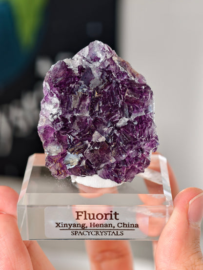 Lila Fluorit Würfel Cluster aus Xinyang