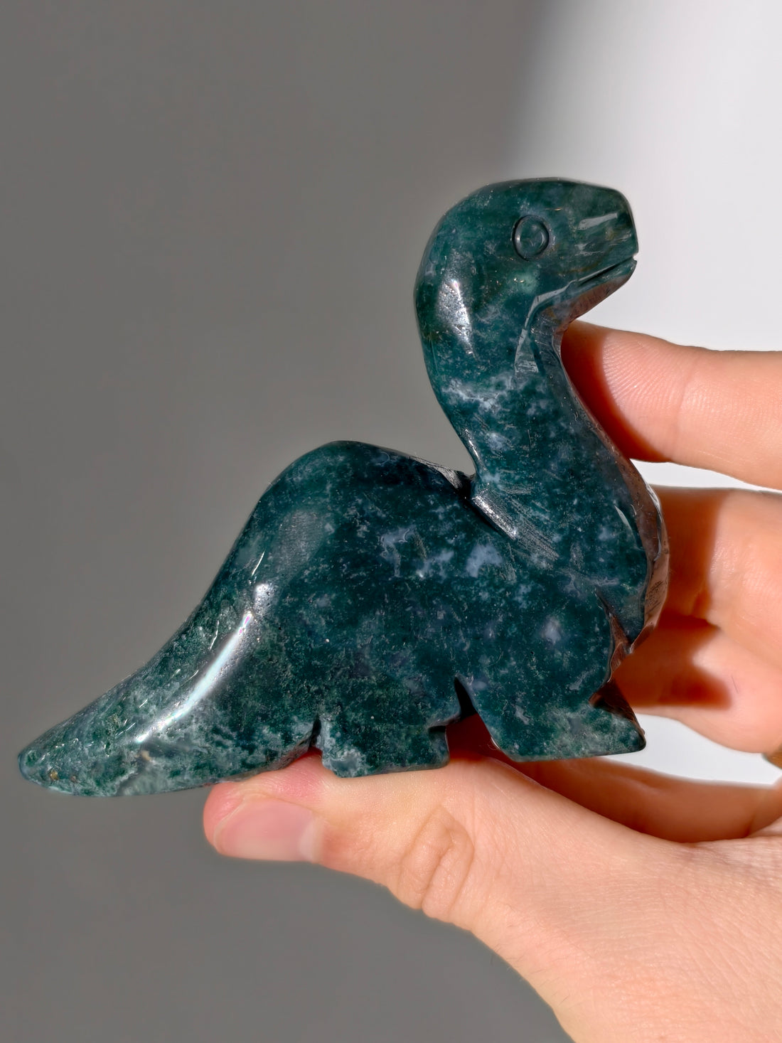 Moosachat Dino 🦕 (Brontosaurus)