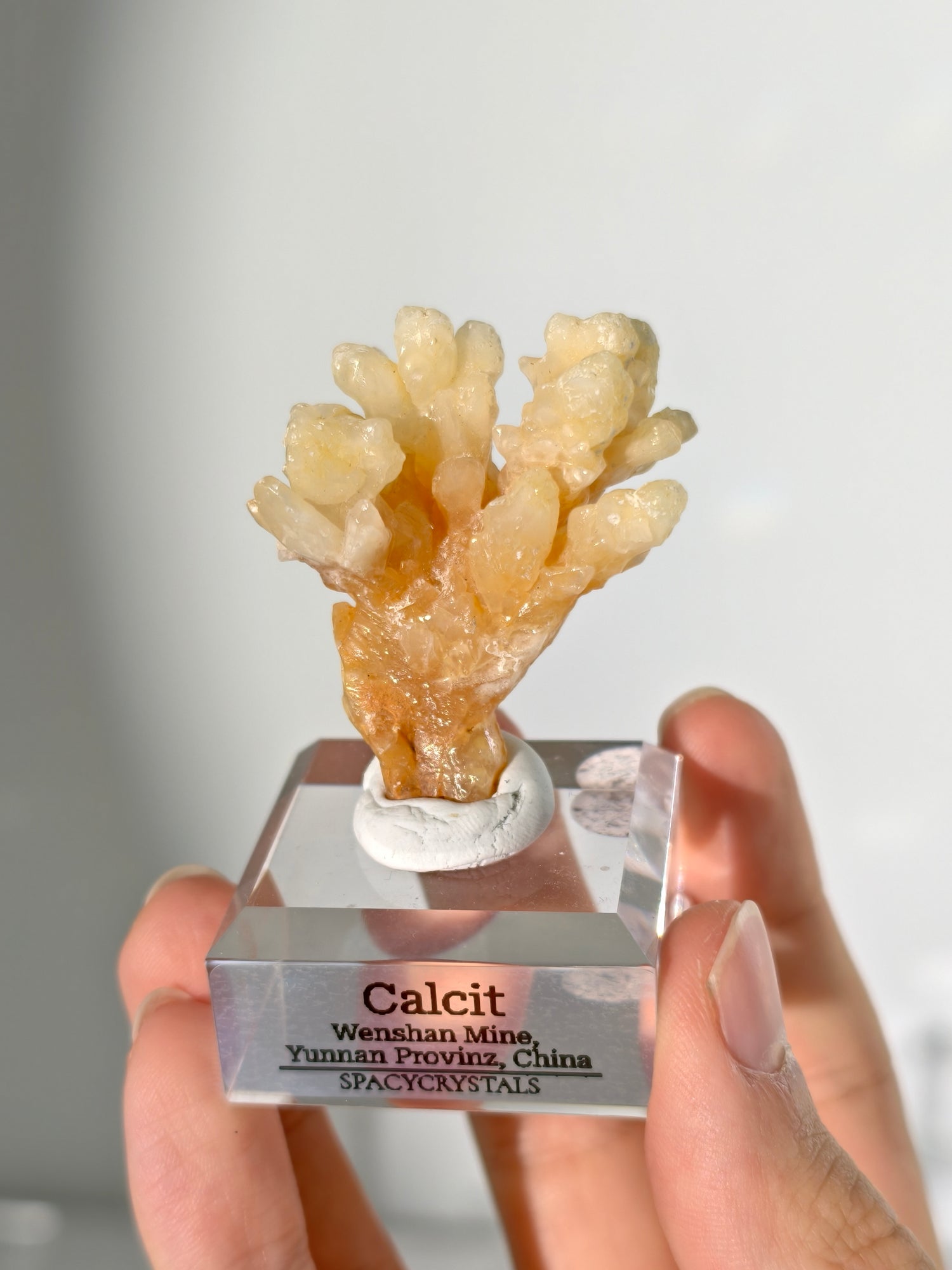 Korallenförmiger Calcit - Wenshan Mine