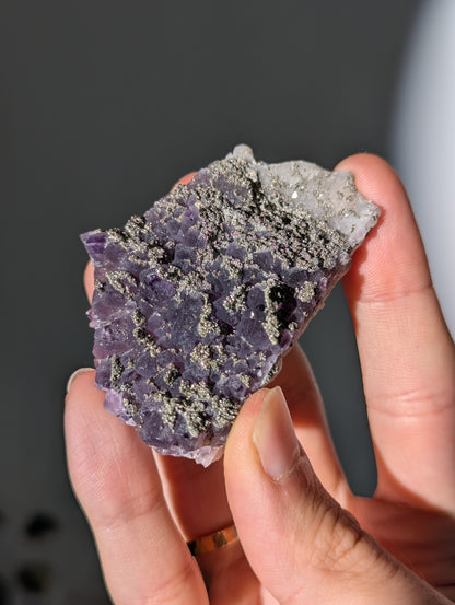 Pyrit auf dunkellila Amethyst aus Bulgarien ✨