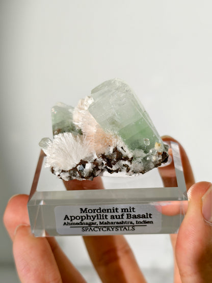 Mordenit mit Apophyllit auf Basalt aus Indien