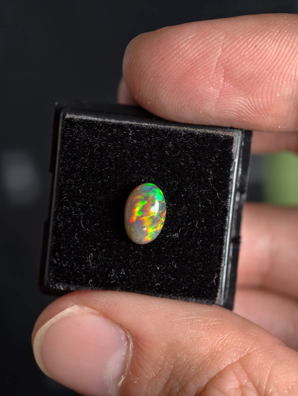 Welo Opal Cabochon in Dose (klein)