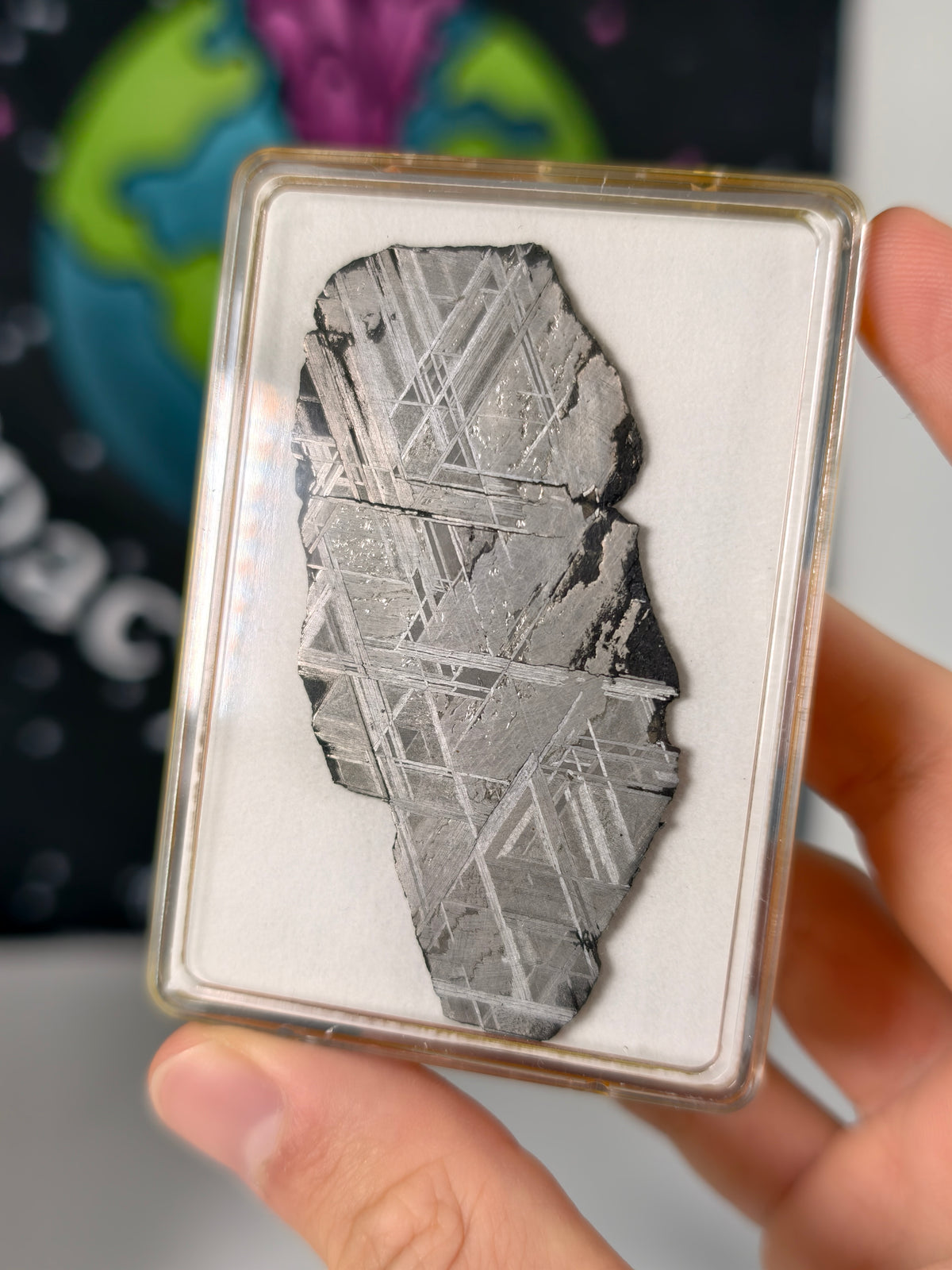 Muonionalusta Meteorit Scheibe 23,27g mit Zertifikat
