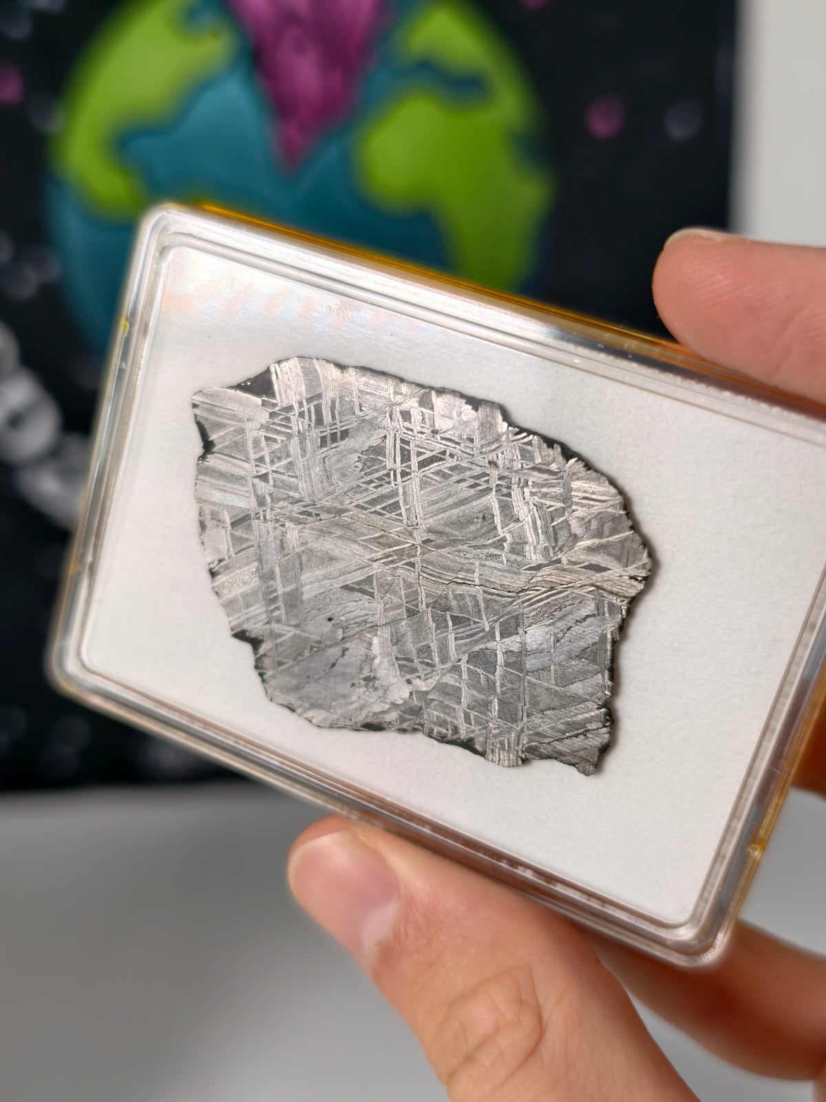 Muonionalusta Meteorit Scheibe 19,15g mit Zertifikat