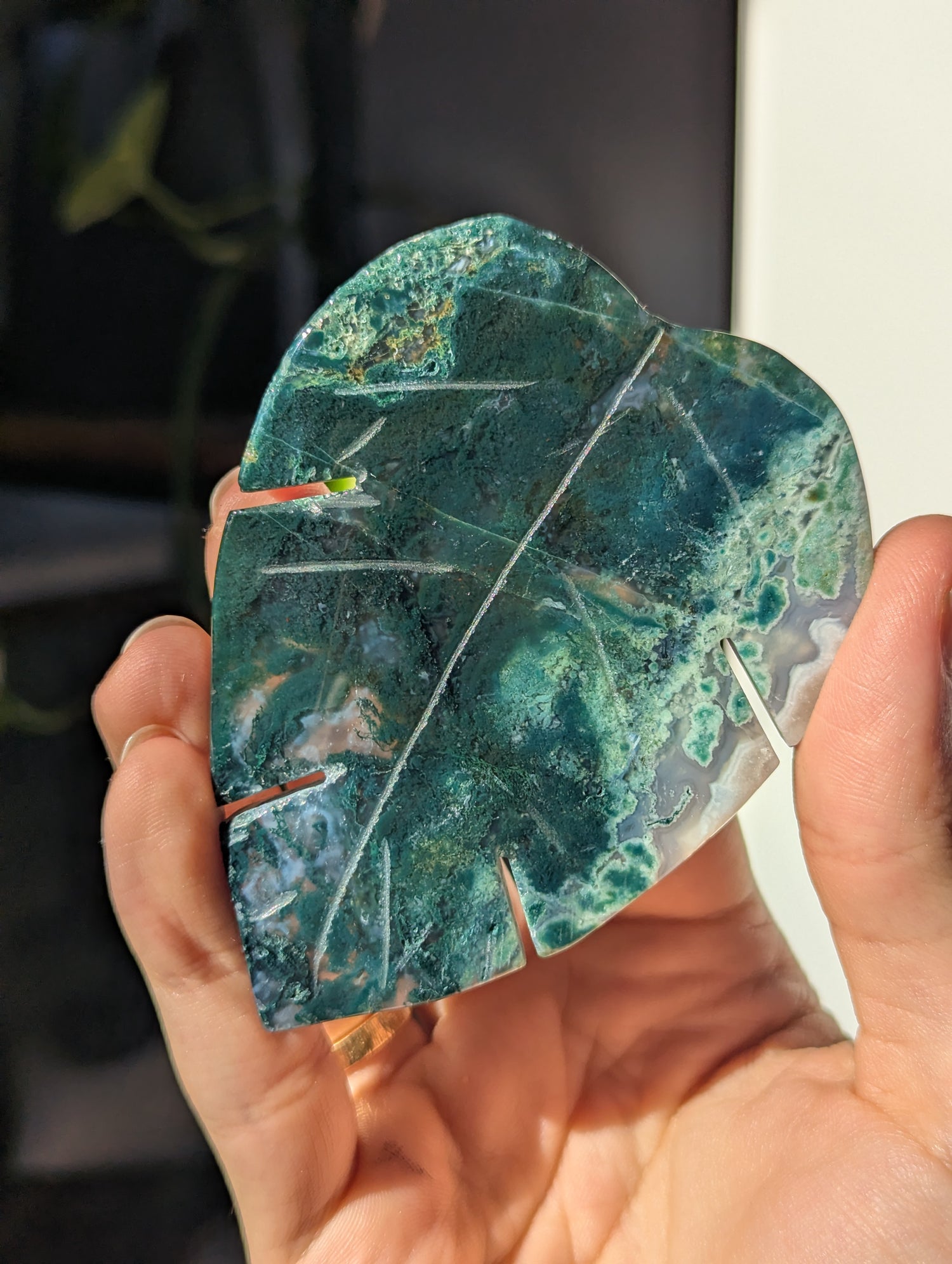 Moosachat Monstera Blatt (wähle dein eigenes)