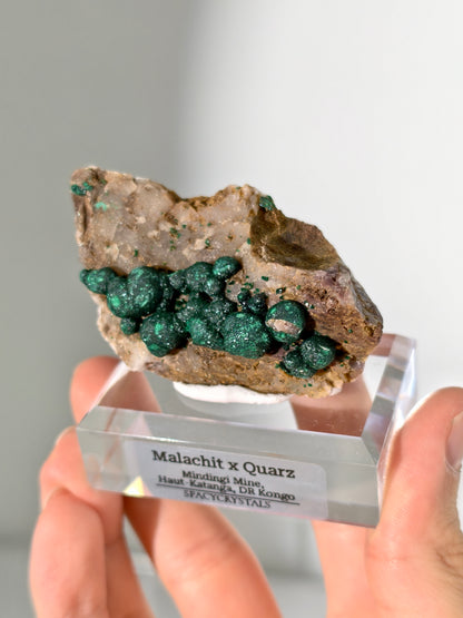 Malachit x Quarz aus der Mindingi Mine, Kongo