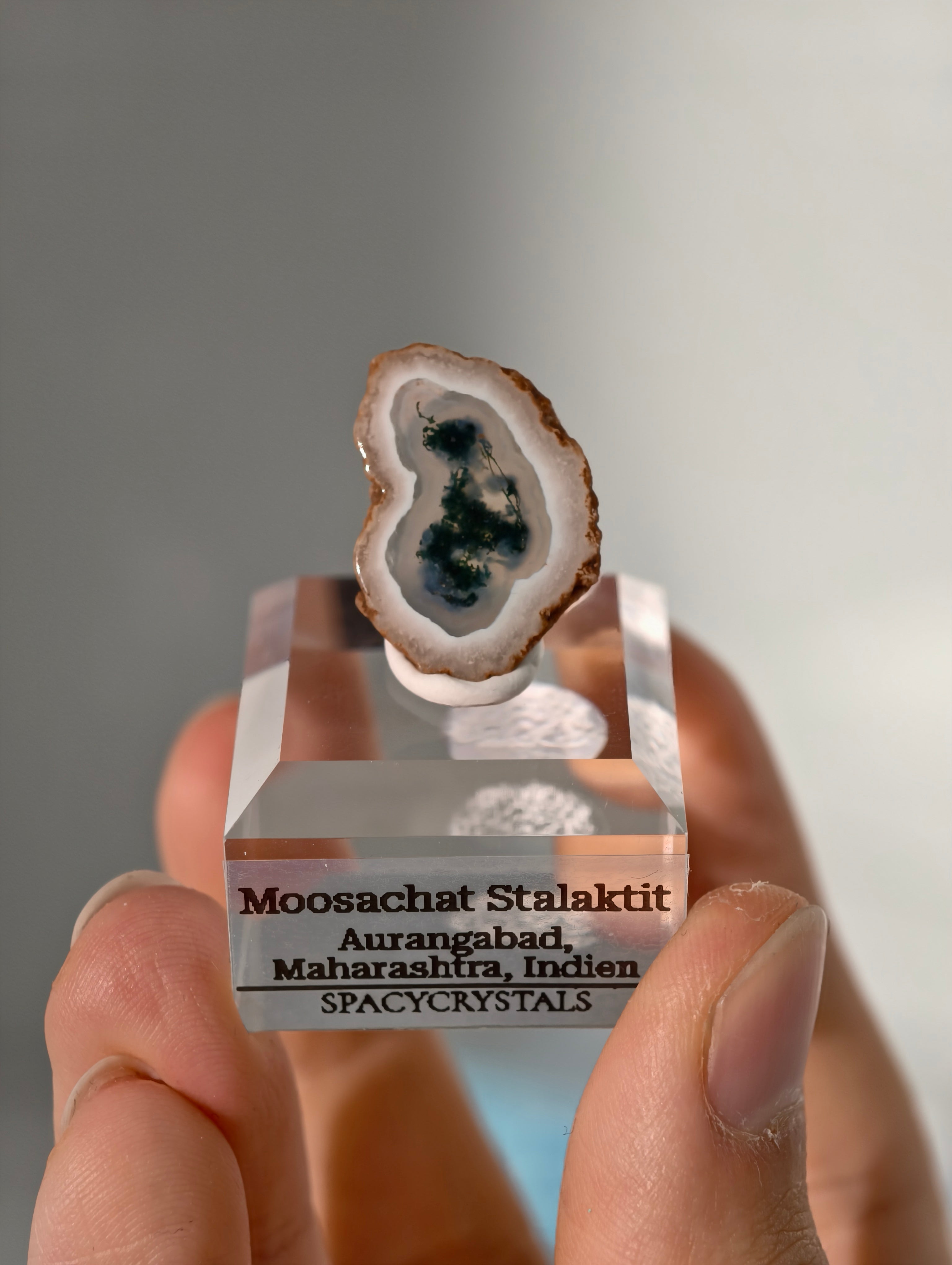 Moosachat Stalaktiten Scheiben aus Indien (kleiner)
