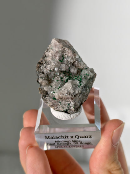 Malachit x Quarz aus der Mindingi Mine, Kongo