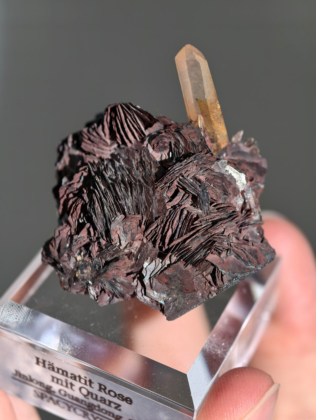 Rote Hämatit Rose mit Hämatitquarz aus Jinlong