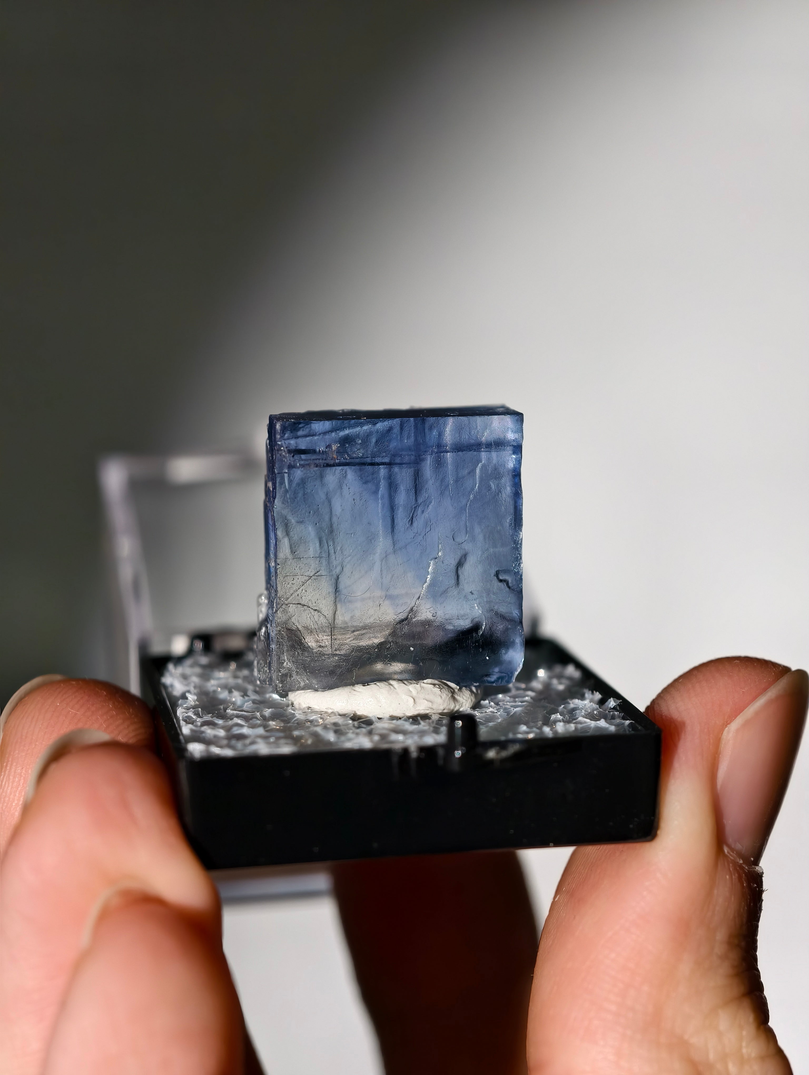 Blauer Halit aus Türkei in Box