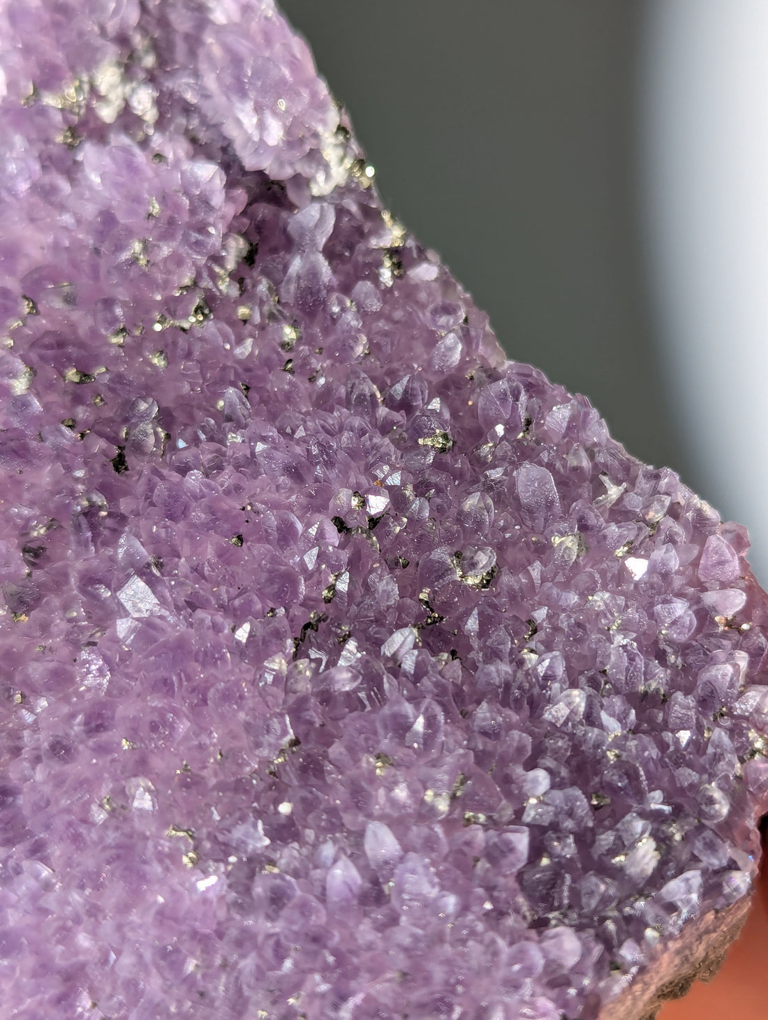Pyrit auf Amethyst aus Bulgarien