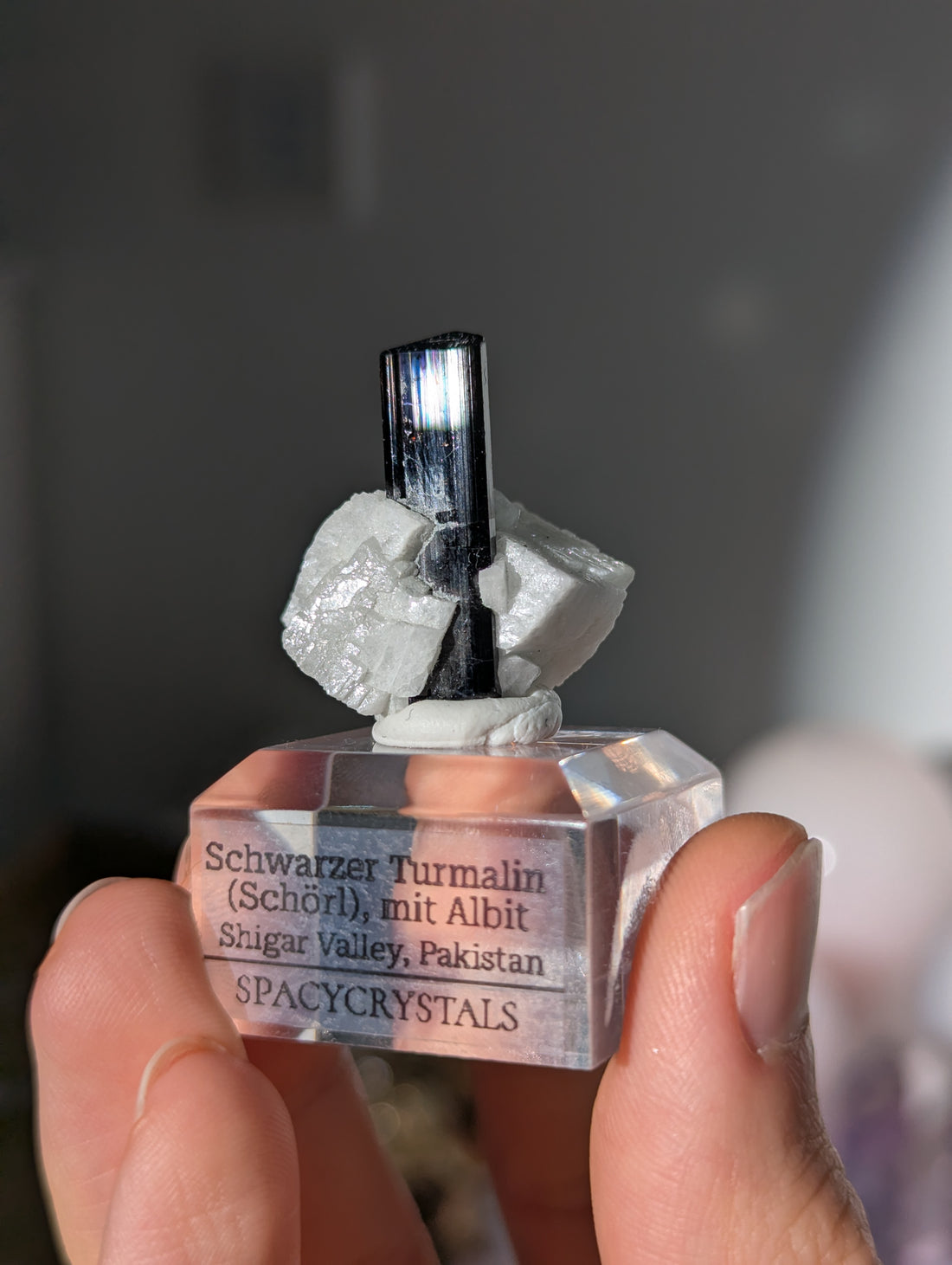 Schwarzer Turmalin (Schörl) mit Albit auf Podest