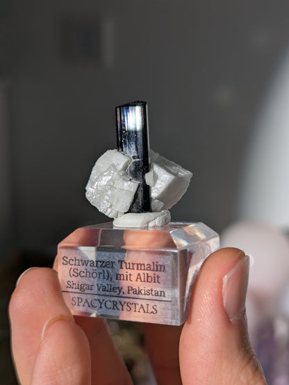 Schwarzer Turmalin (Schörl) mit Albit auf Podest