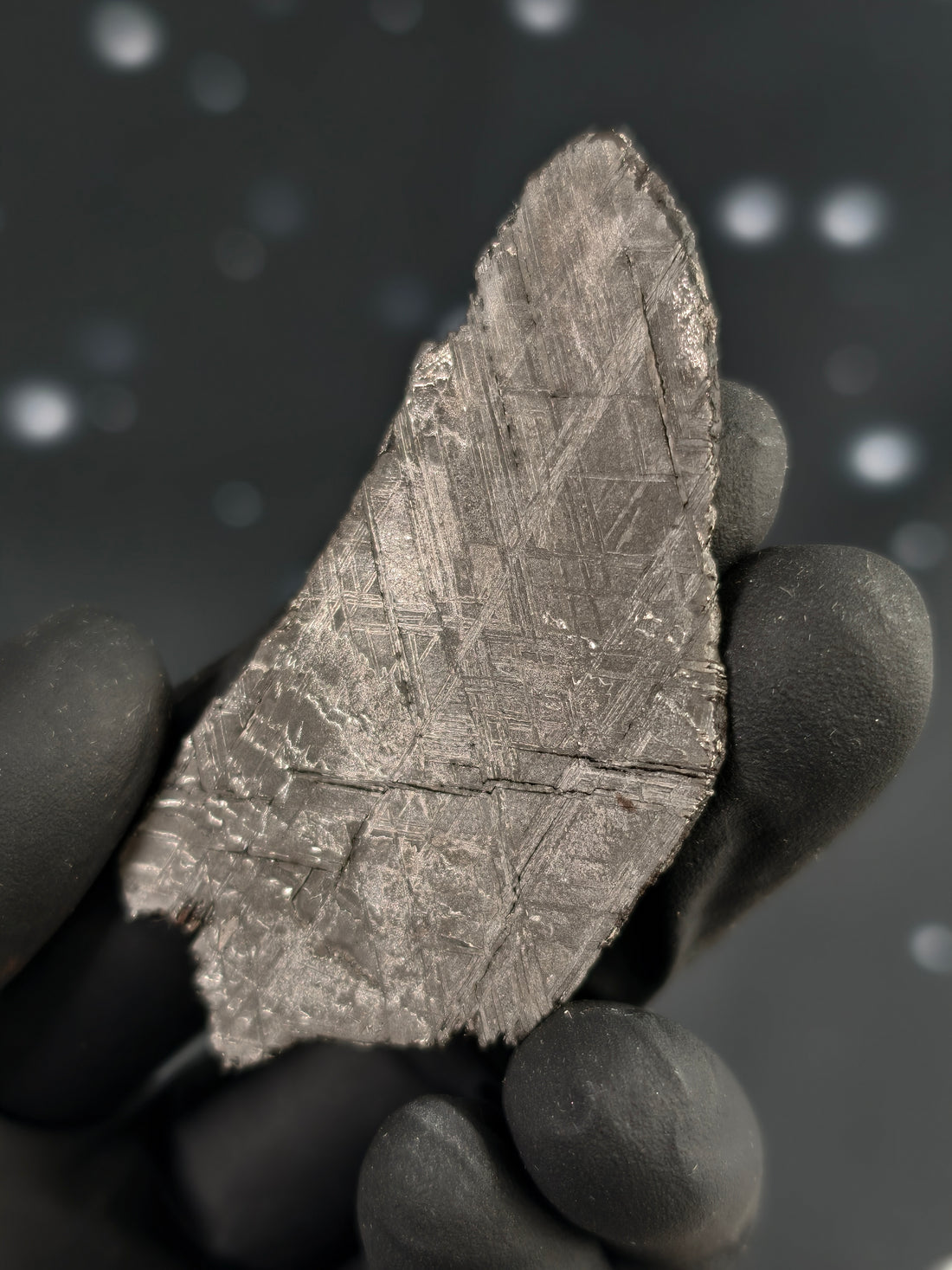 Muonionalusta Meteorit Scheibe 14,7g mit Zertifikat