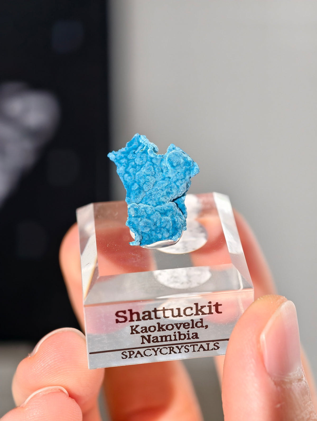 Botryoidaler blauer Samt Shattuckit auf Podest