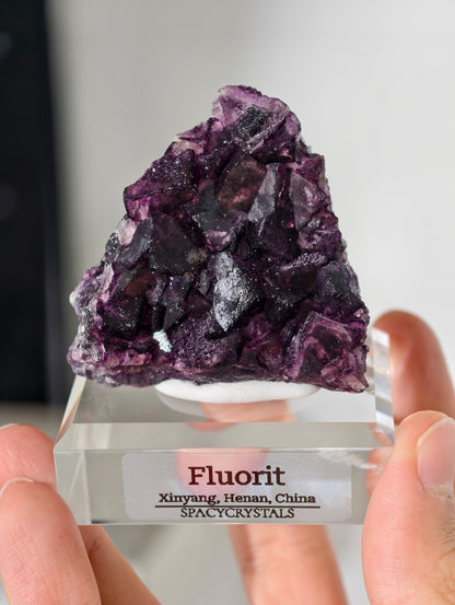 Lila Fluorit Würfel Cluster aus Xinyang