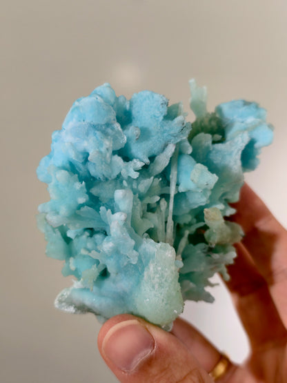 Wow! Blauer Aragonit 🪸🩵 aus der Wenshan Mine